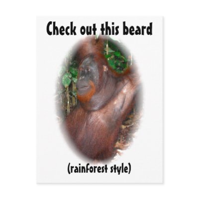 Beware of Facial Hair - rainforest style Post Card by Rebecca_Reeder