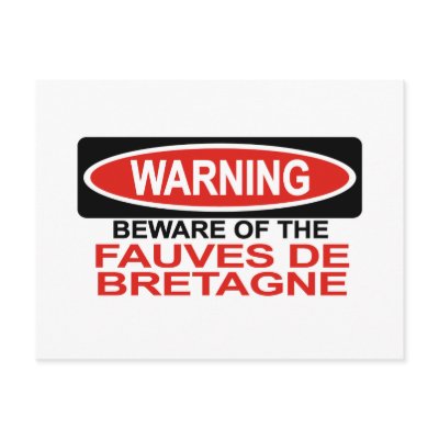 Beware Of Fauves De Bretagne Post Card by Bewareofdogs