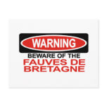 Beware Of Fauves De Bretagne Post Card