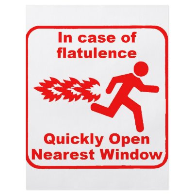 Beware of Flatulence! Custom Flyer by dwacon