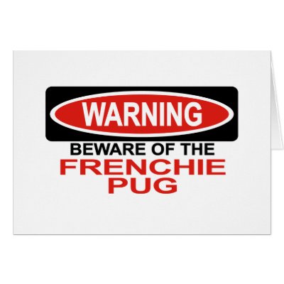 Beware Of Pug