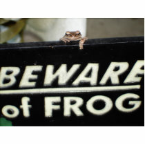 BEWARE of FROG photo sculptures