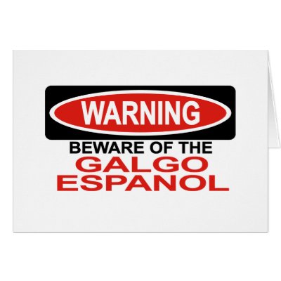 Beware Of Galgo Espanol Card by Bewareofdogs