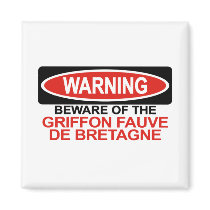 Beware Of Griffon Fauve De Bretagne magnets