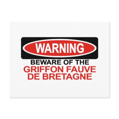 Beware Of Griffon Fauve De Bretagne Postcard by Bewareofdogs