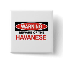 Beware Of Havanese Pinback Button