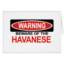Beware Of Havanese Greeting Cards