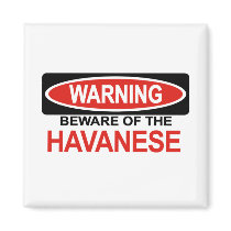Beware Of Havanese Refrigerator Magnet