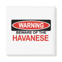 Beware Of Havanese magnets