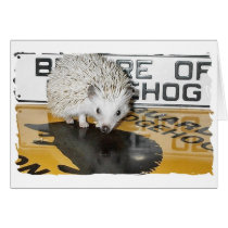 Beware of Hedgehog cards by nannyogg Beware of Hedgehog cards
