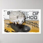 Beware of Hedgehog posters