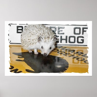 Beware of Hedgehog Posters by nannyogg