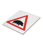 Beware of Hippopotamuses, Traffic, South Africa Tile