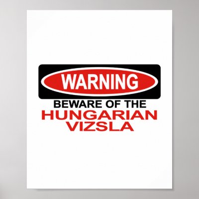Beware Of Hungarian Vizsla Posters by Bewareofdogs