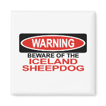 Beware Of Iceland Sheepdog magnets