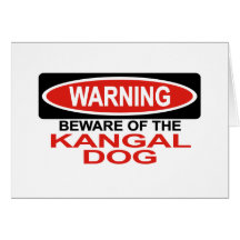 Beware Of Kangal Dog Greeting Cards
