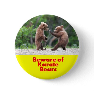 Beware of karate bears Pin