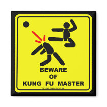 BEWARE OF KUNG FU MASTER REFRIGERATOR MAGNET