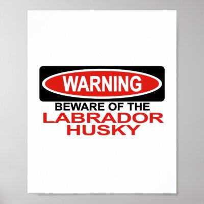 Beware Of Labrador Husky Print by Bewareofdogs