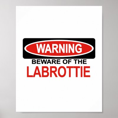 Beware Of Labrottie Print by Bewareofdogs