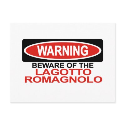 Beware Of Lagotto Romagnolo Postcard by Bewareofdogs