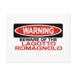 Beware Of Lagotto Romagnolo Postcard