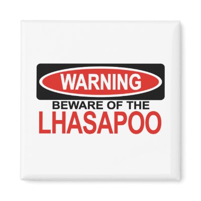 Beware Of Lhasapoo Magnets by Bewareofdogs