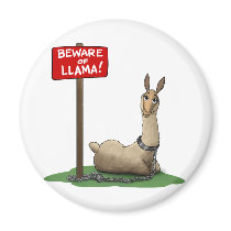 Beware of LLama! Magnets