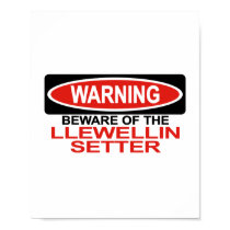 Beware Of Llewellin Setter posters