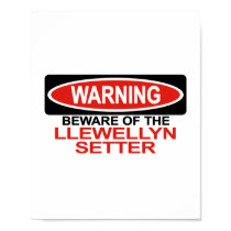Beware Of Llewellyn Setter posters