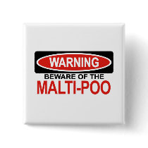 Beware Of Malti-Poo Pinback Buttons