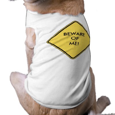 Beware Of Me Pet T Shirt by JKcoder