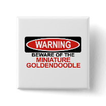 Beware Of Miniature Goldendoodle Pinback Buttons