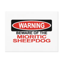 Beware Of Mioritic Sheepdog Postcards