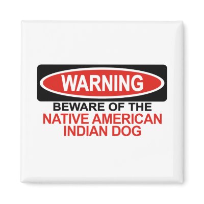 Beware Of Native American Indian Dog Magnets by Bewareofdogs