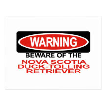 Beware Of Nova Scotia Duck-Tolling Retriever Postcard