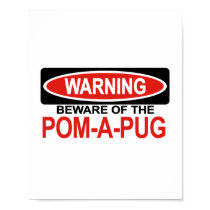 Beware Of Pom-A-Pug posters by Bewareofdogs Beware Of Pom-A-Pug posters