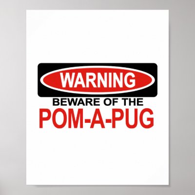 Beware Of Pom-A-Pug Posters by Bewareofdogs