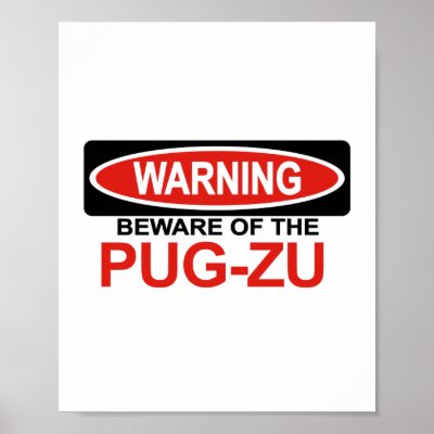Beware Of Pug-Zu Posters by Bewareofdogs