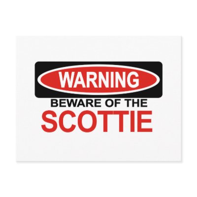 Beware Of Scottie Post Card by Bewareofdogs