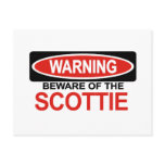 Beware Of Scottie Post Card