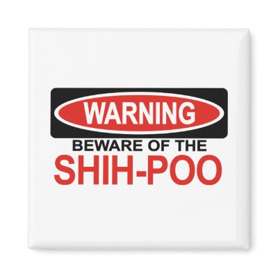 Beware Of Shih-Poo Fridge Magnet by Bewareofdogs