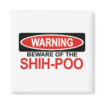 Beware Of Shih-Poo magnets