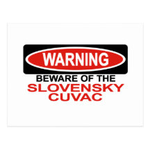 Beware Of Slovensky Cuvac Postcards