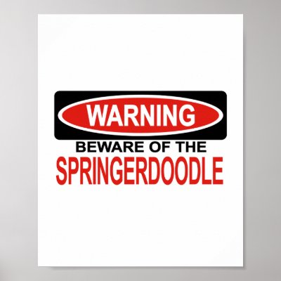 Beware Of Springerdoodle Print by Bewareofdogs