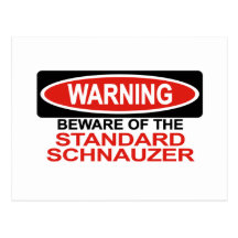 Beware Of Standard Schnauzer Post Cards