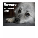 Beware of sweet dog! t-shirts by upnincs Beware of sweet dog! t-shirts