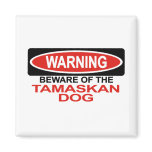 Beware Of Tamaskan Dog magnets