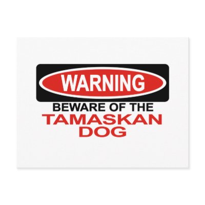 Beware Of Tamaskan Dog Post Cards by Bewareofdogs