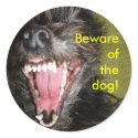 Beware of the dog stickers